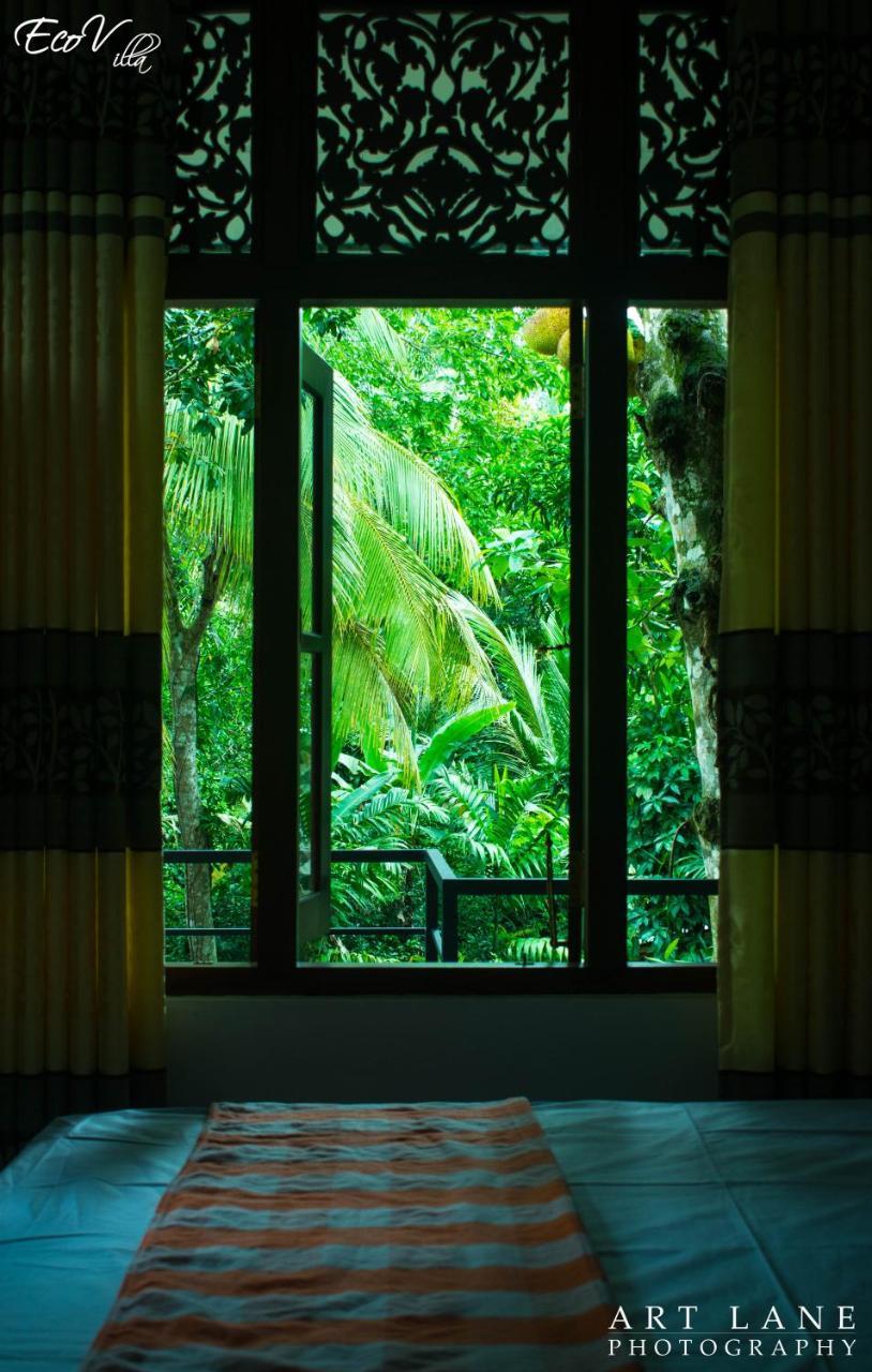 Eco Villa - Sinharaja Deniyaya Extérieur photo